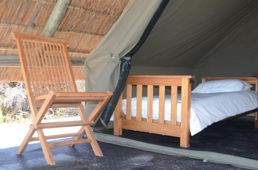 West Coast Luxury Tents Dwarskersbos Ngoại thất bức ảnh