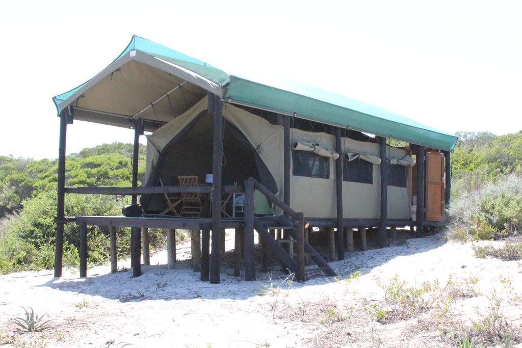 West Coast Luxury Tents Dwarskersbos Ngoại thất bức ảnh