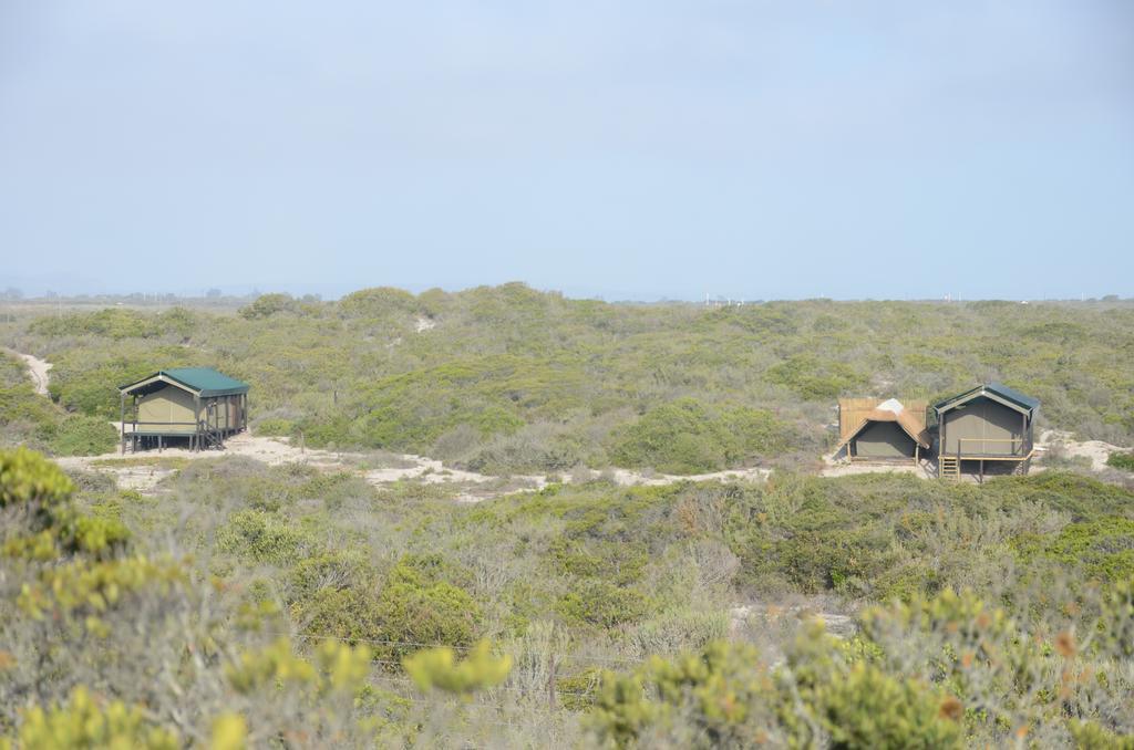 West Coast Luxury Tents Dwarskersbos Ngoại thất bức ảnh