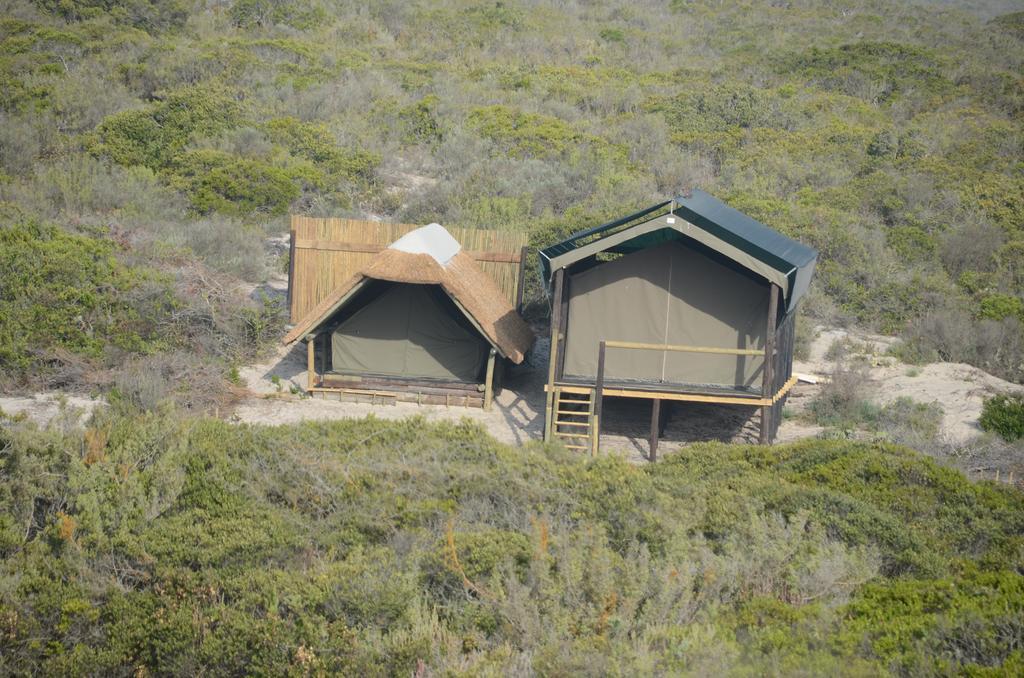 West Coast Luxury Tents Dwarskersbos Ngoại thất bức ảnh