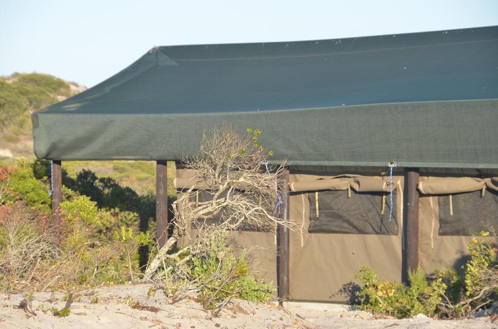 West Coast Luxury Tents Dwarskersbos Ngoại thất bức ảnh