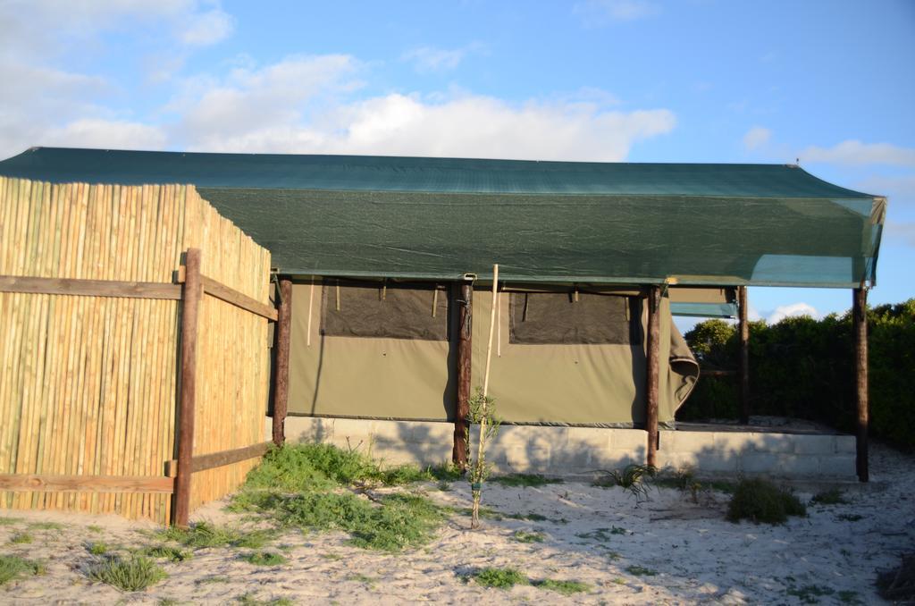 West Coast Luxury Tents Dwarskersbos Ngoại thất bức ảnh