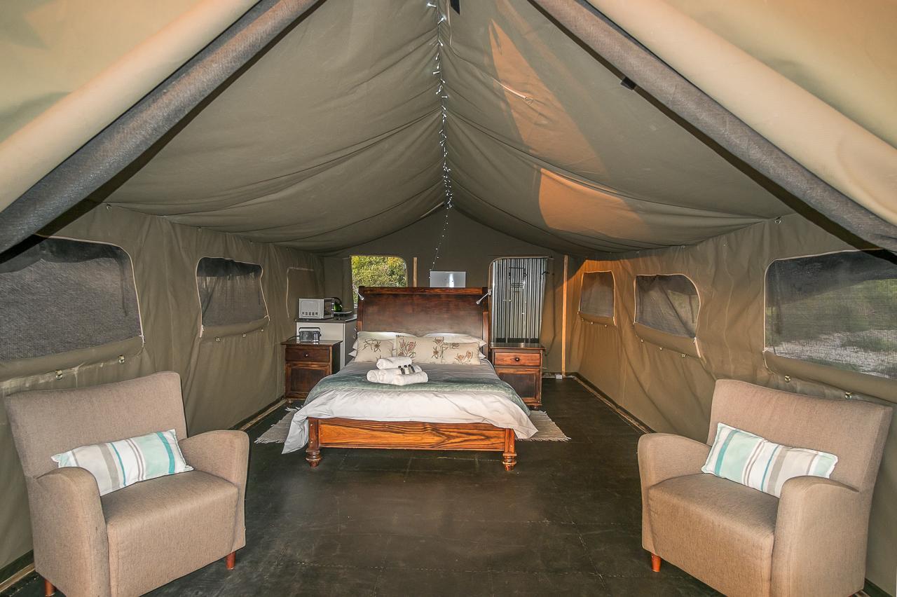 West Coast Luxury Tents Dwarskersbos Ngoại thất bức ảnh