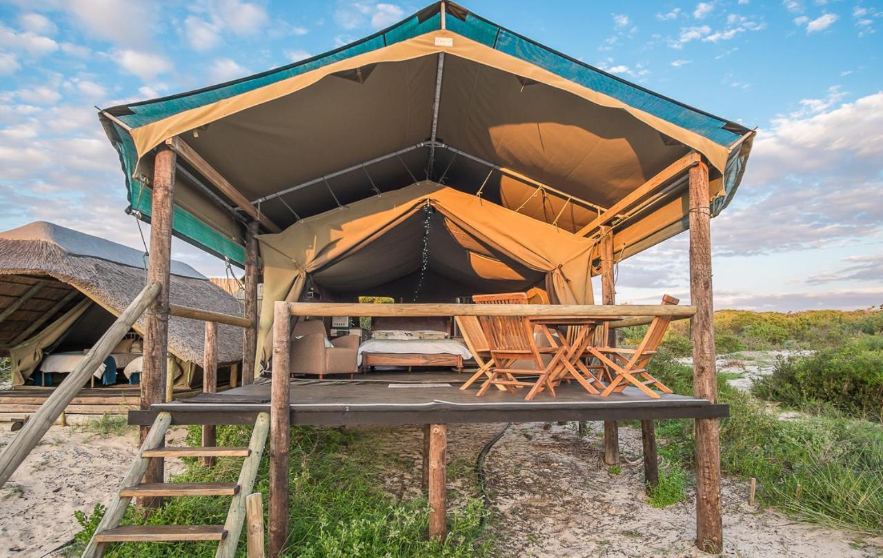 West Coast Luxury Tents Dwarskersbos Ngoại thất bức ảnh